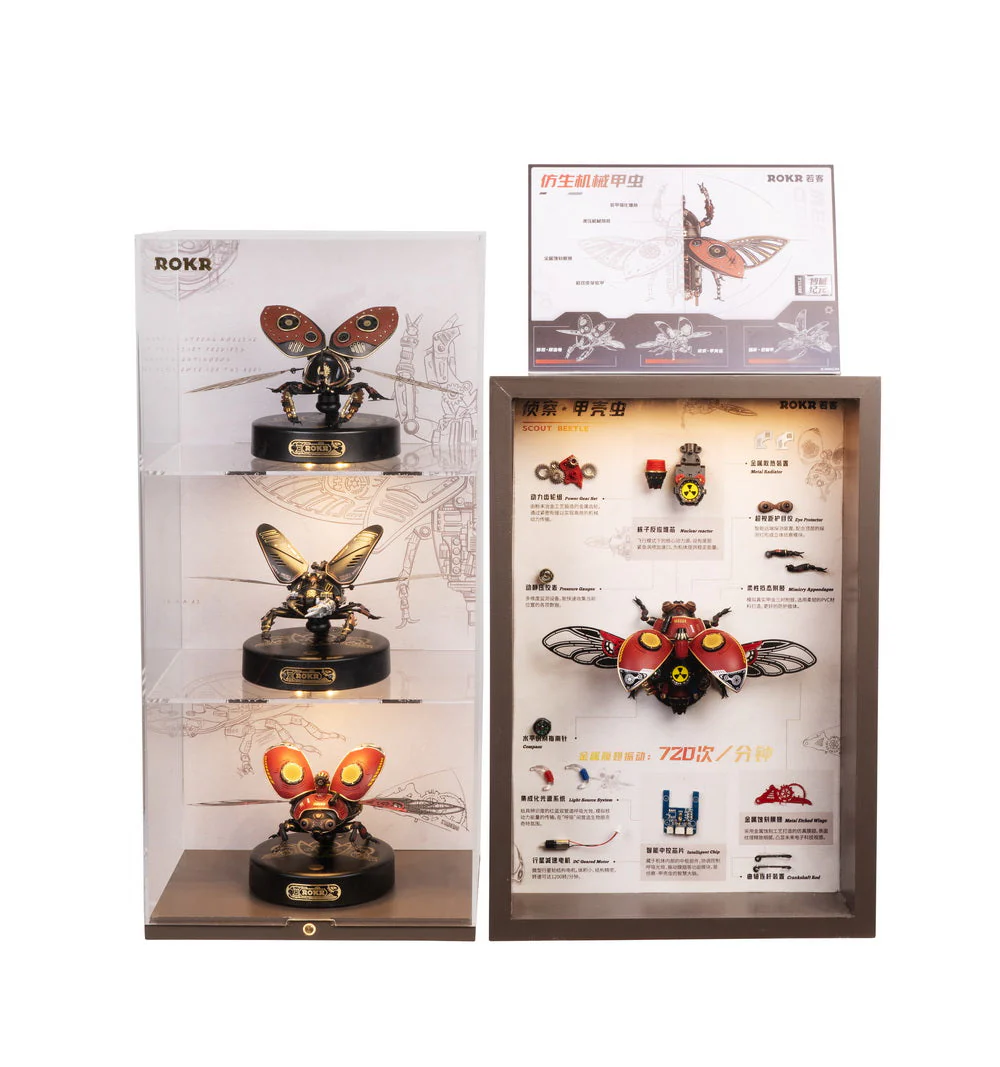 3D Puzzle - Rhinoceros Beetle - Image 12