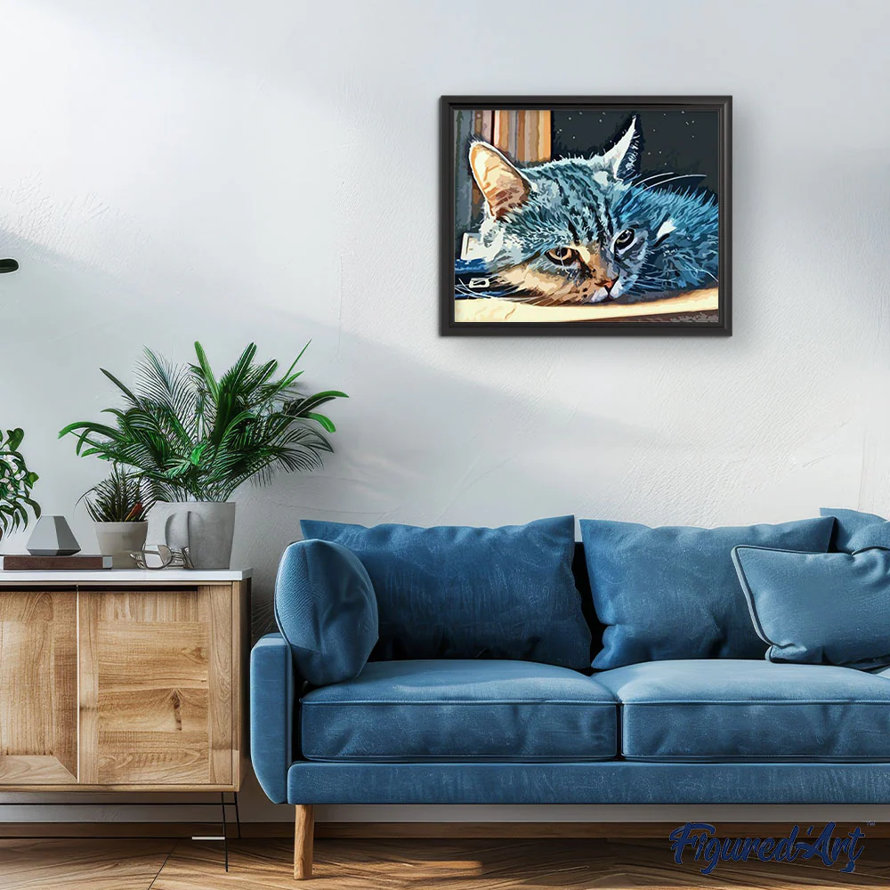 American Shorthair Cat - Image 3