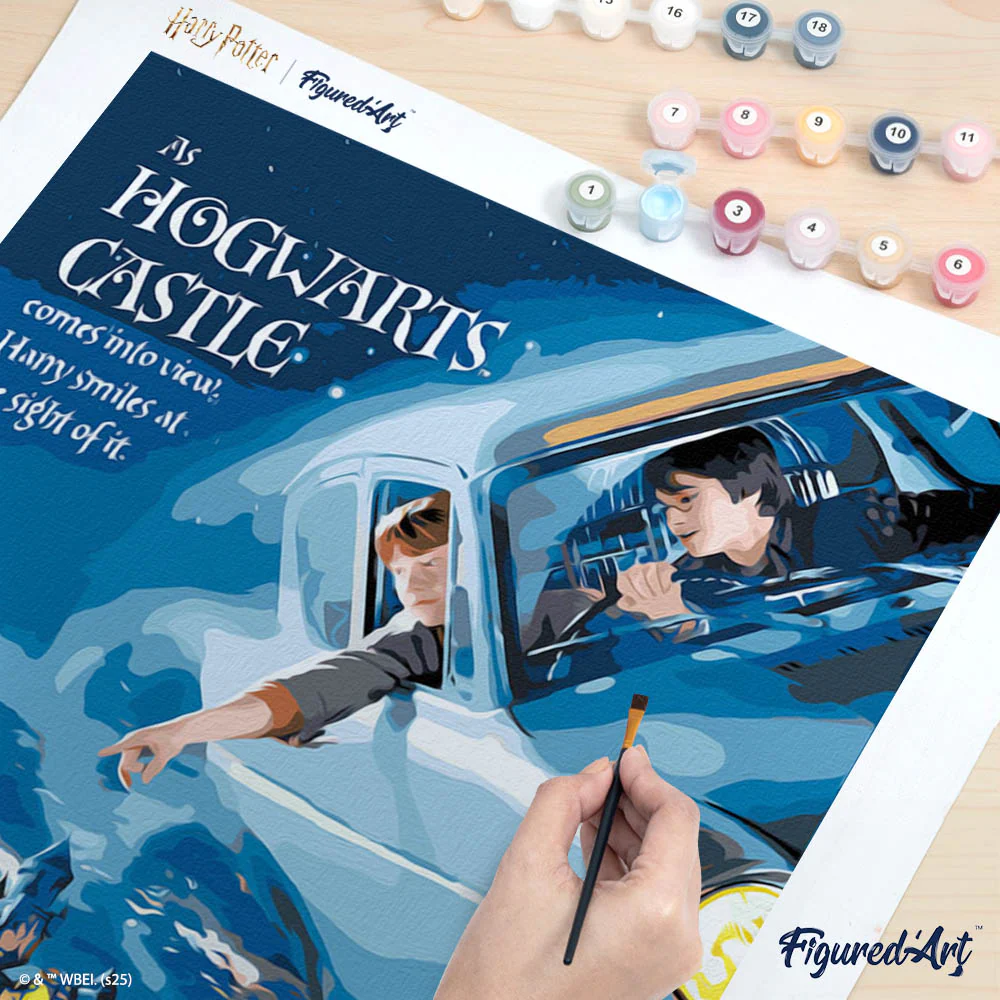 Anglia flight to Hogwarts - Image 7