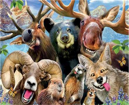 Animals