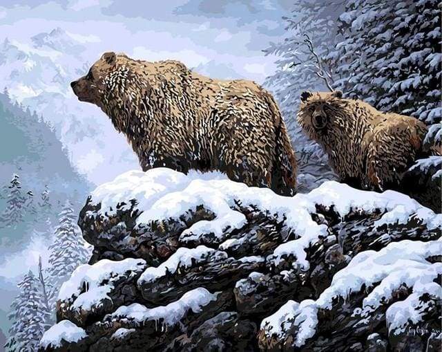 Bears