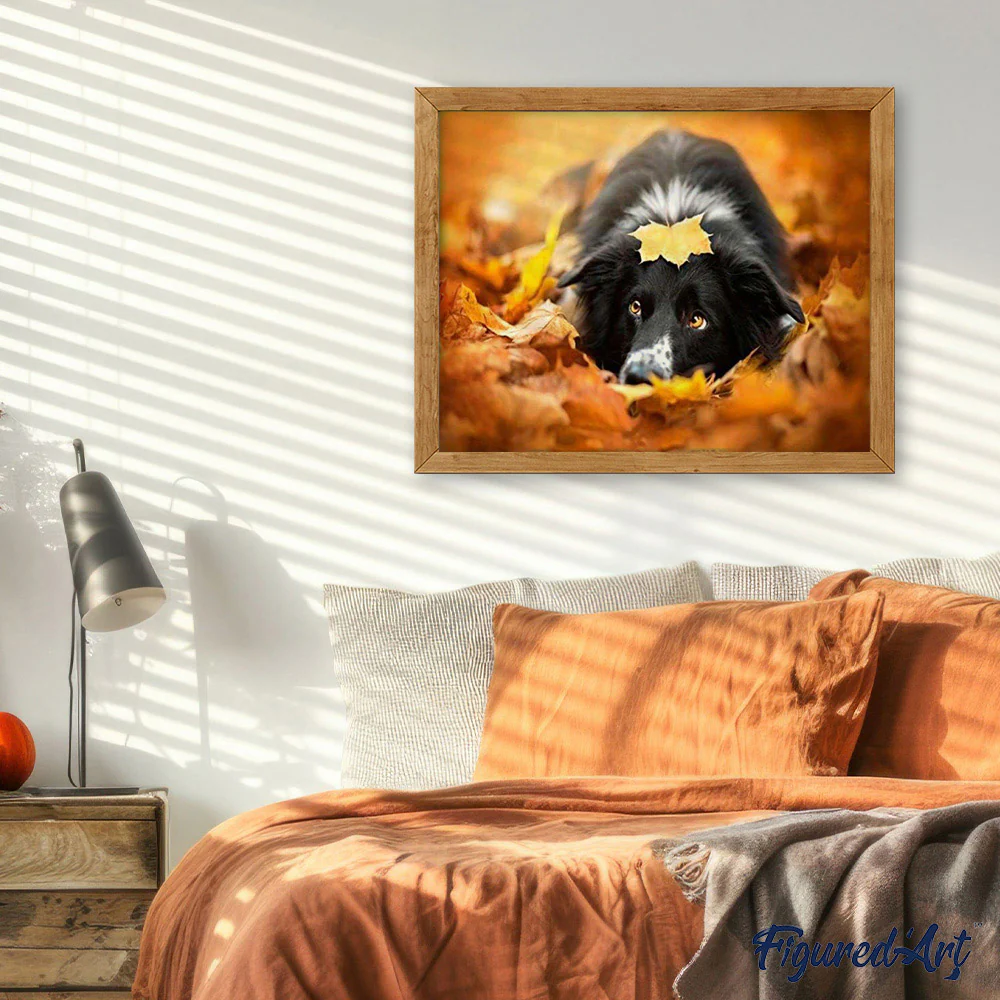 Black Dog relaxing - Image 3