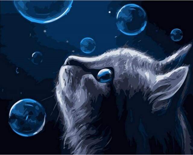 Blue Cat and Bubbles