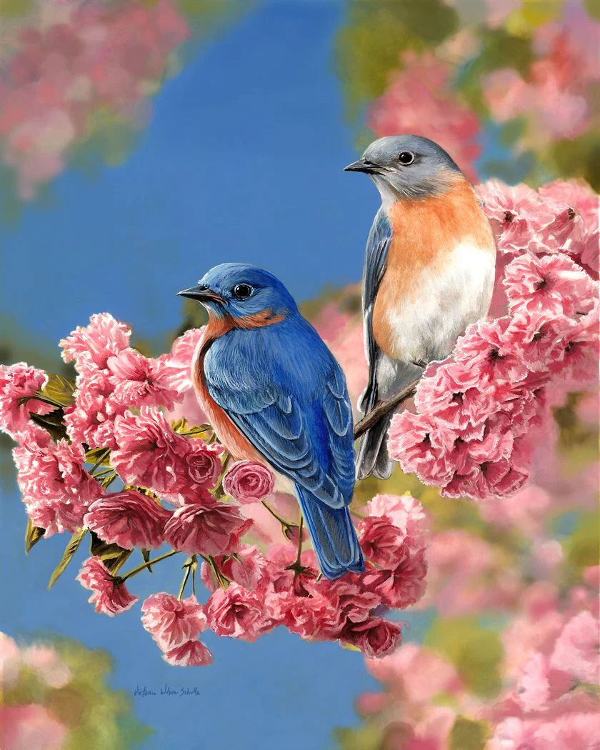 Bluebirds