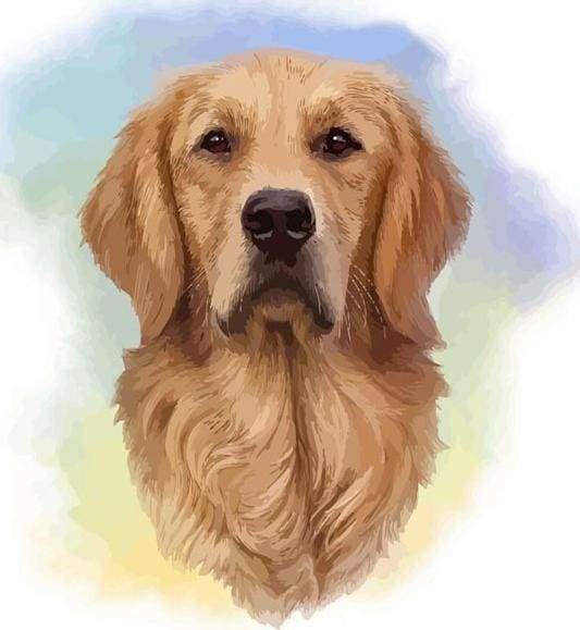 Brown Dog Spirit