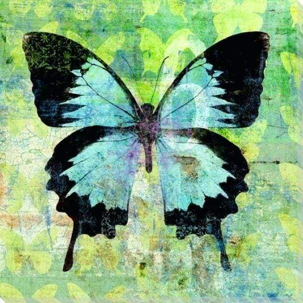 Butterfly Green and Black