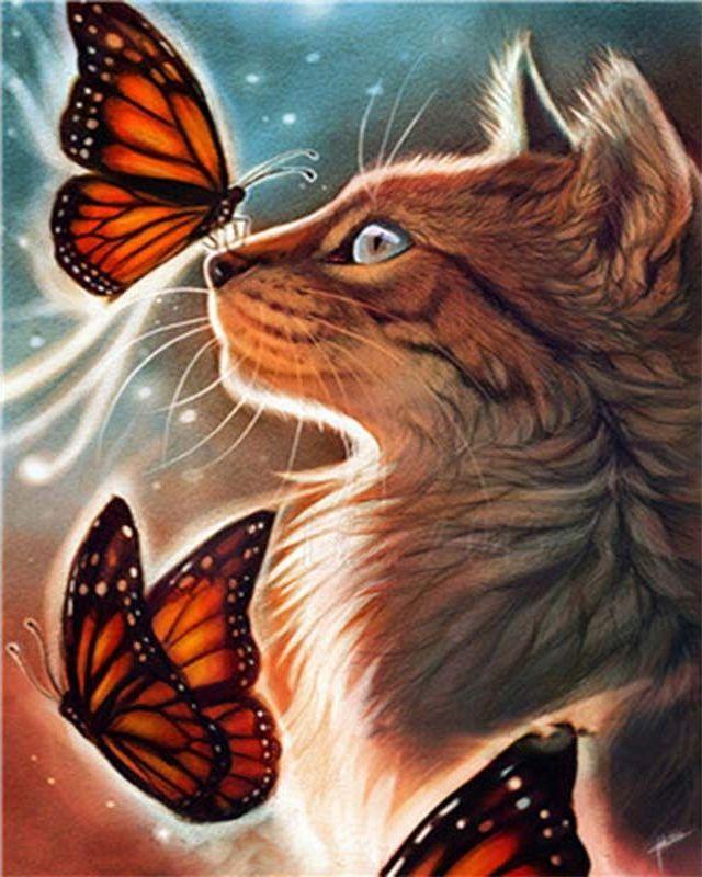 Cat and Butterflies