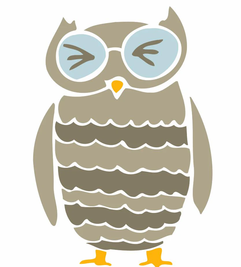 Children Painting kit Cute Owl