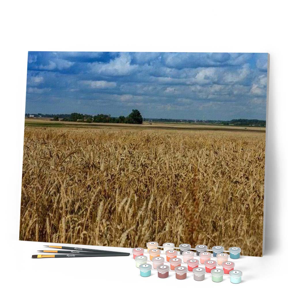 Countryside field - Image 2