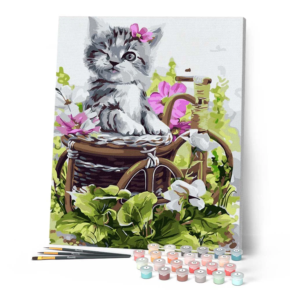 Cute gray kitten - Image 2