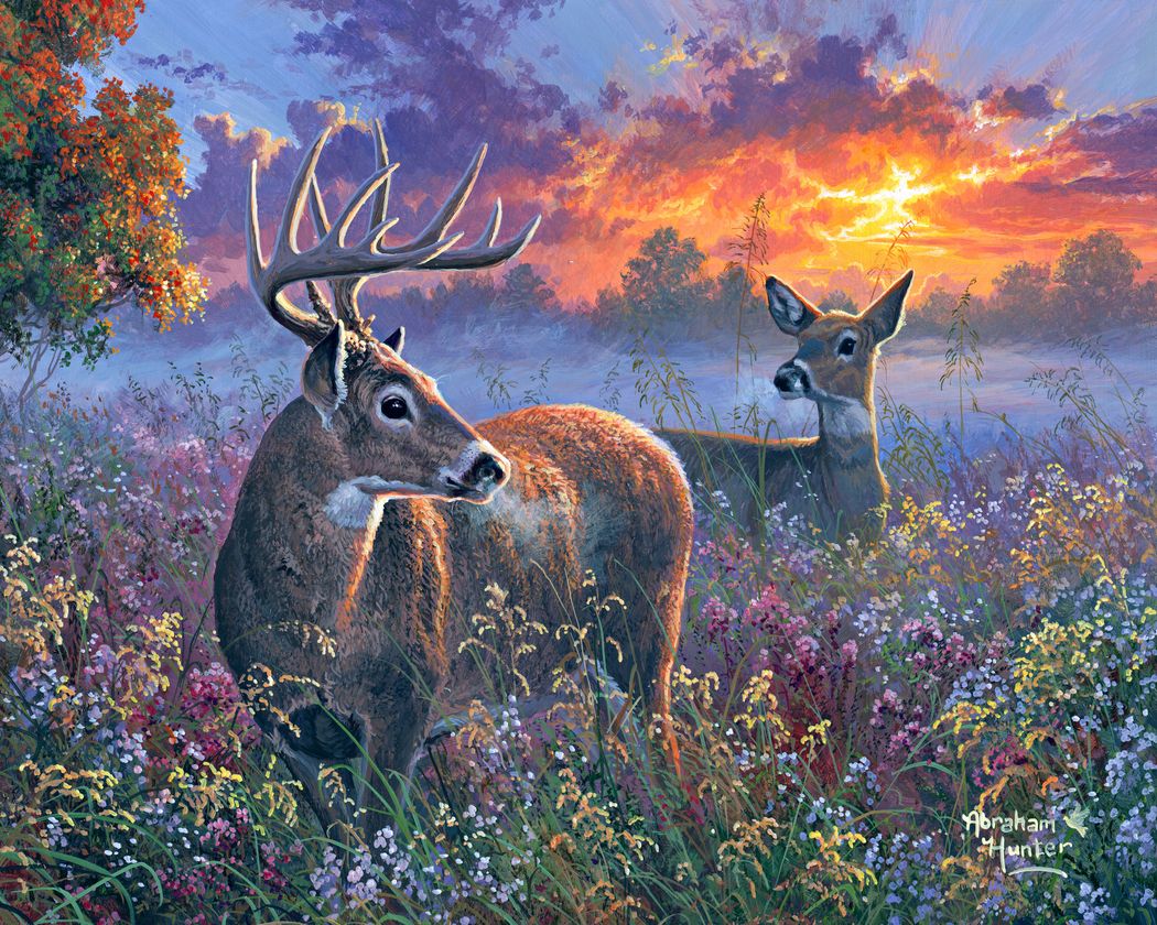 Deer couple
