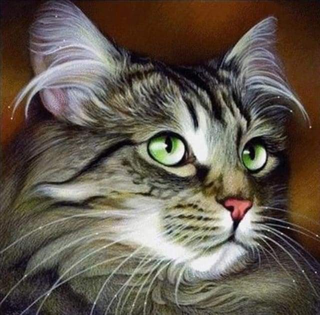 Diamond Painting - Cat Portrait