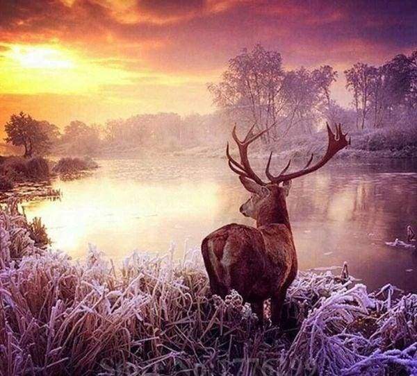 Diamond Painting - Deer near the Lake