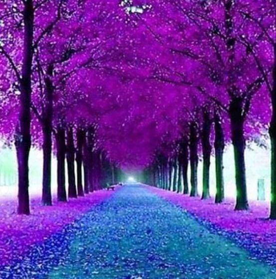 Diamond Painting - Flowered Pathway