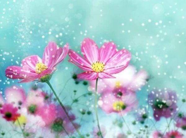 Diamond Painting - Flowers and Flakes