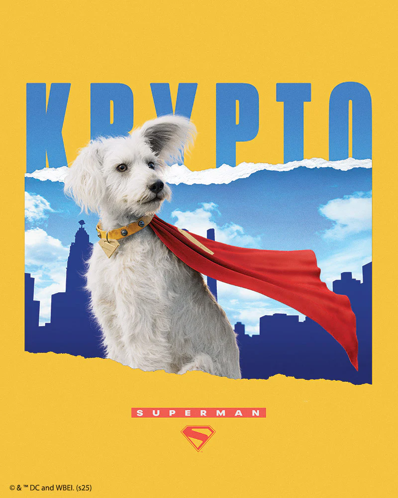 Diamond Painting - Krypto with Skyline