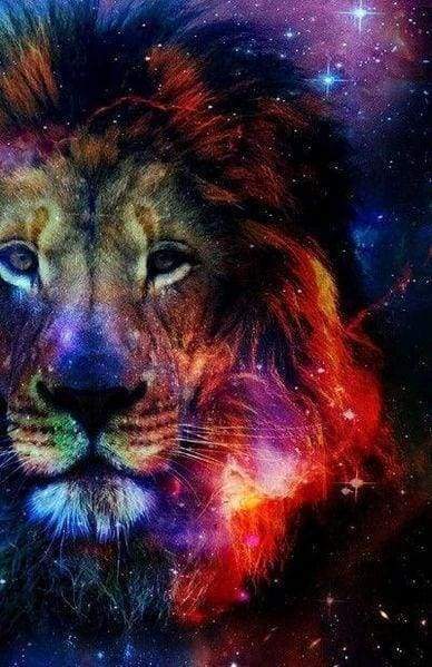 Diamond Painting - Lion Color