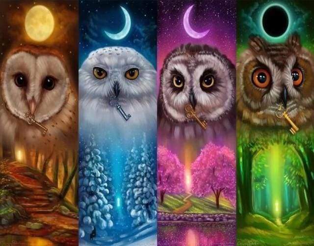 Diamond Painting - Multicolored Owls