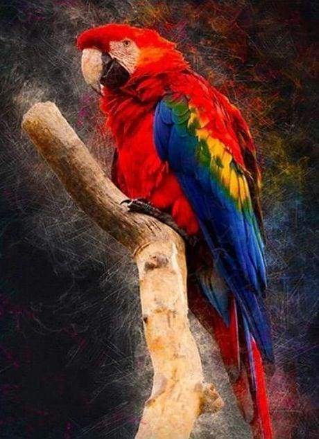 Diamond Painting - Red Parrot