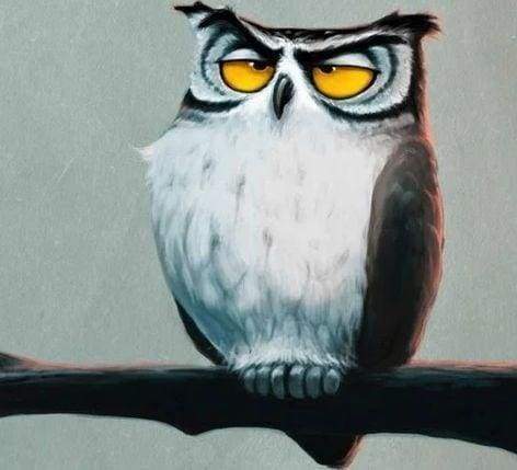 Diamond Painting - Sleepy Owl