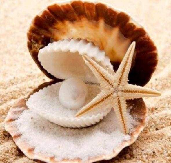 Diamond Painting - Starfish and Seashell