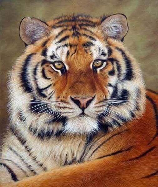 Diamond Painting - Tiger Eye
