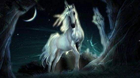 Diamond Painting - Unicorn in the dark