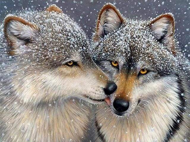 Diamond Painting - Wolves under the Snow