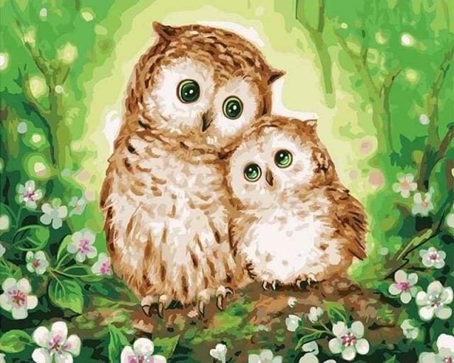 Family of Owls