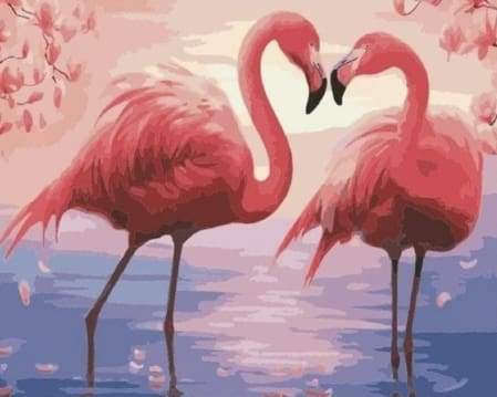 Flamingos Romance
