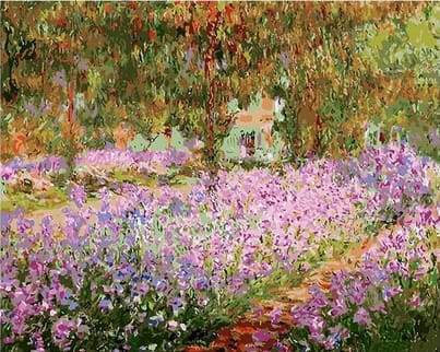 Flower fields
