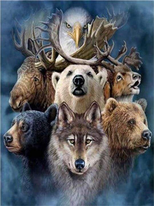 Forest Animals