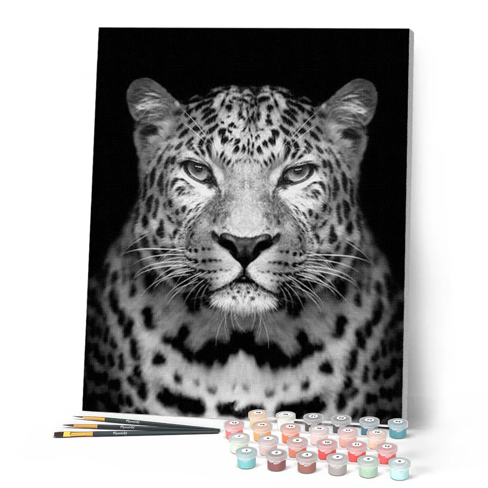 Gray leopard - Image 2