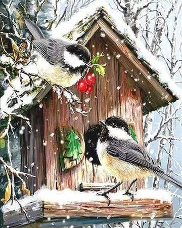 Great Tit Birds