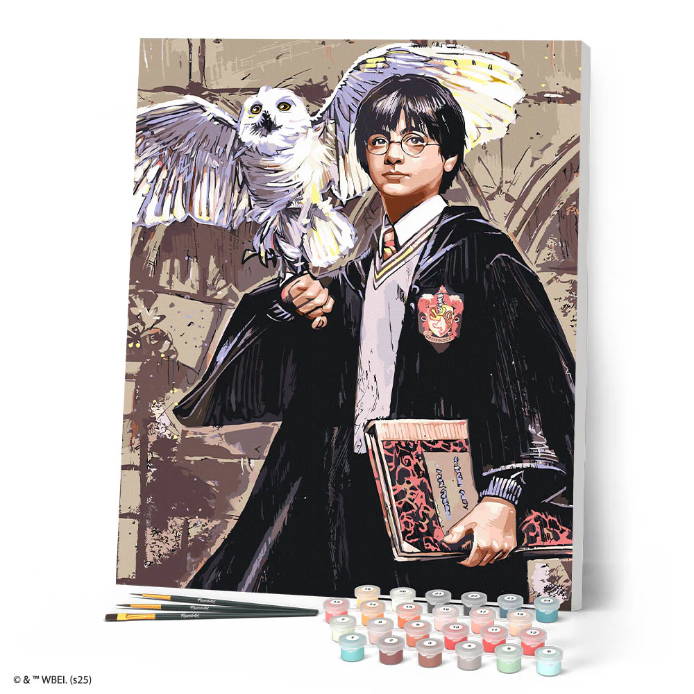 Harry Potter and Hedwig - Image 2