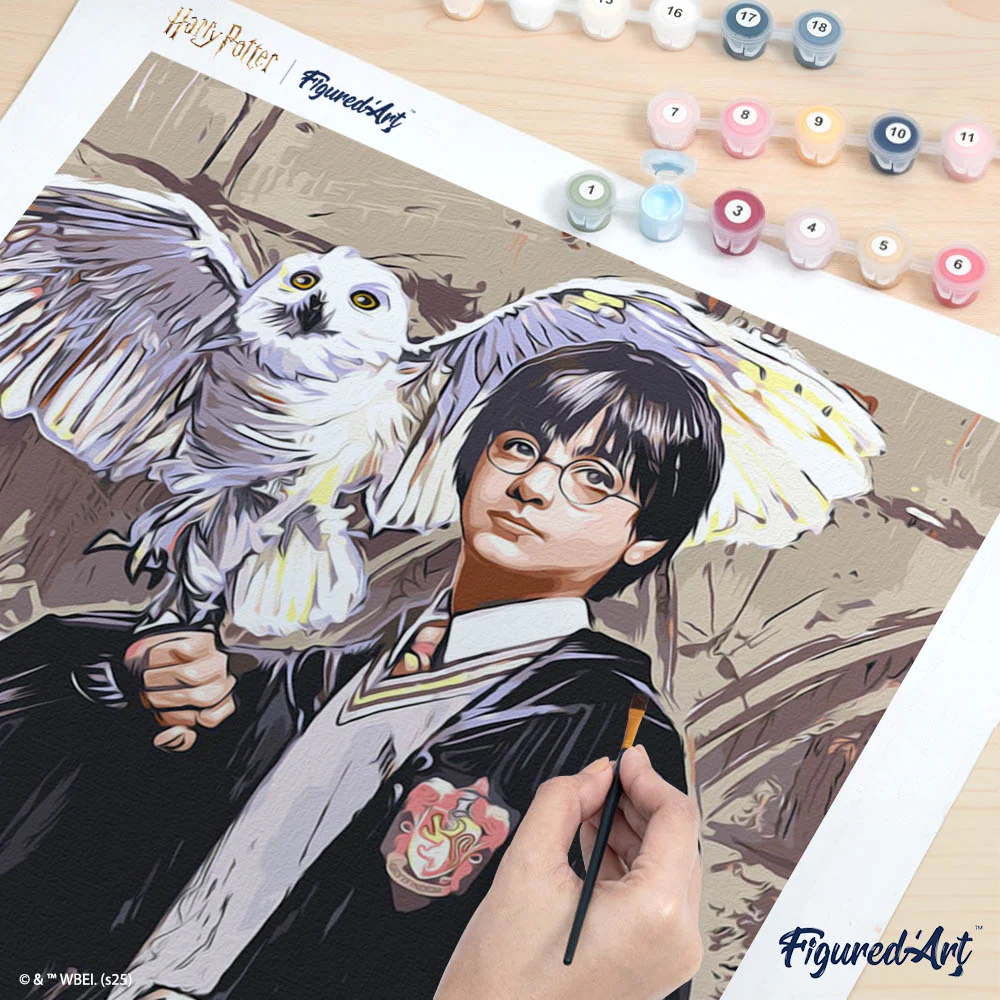 Harry Potter and Hedwig - Image 7