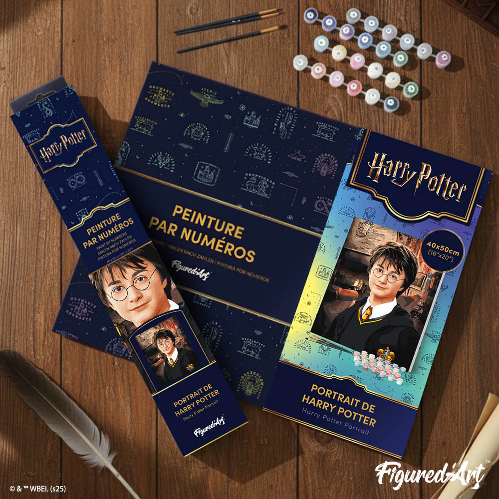 Harry Potter Portrait - Image 4