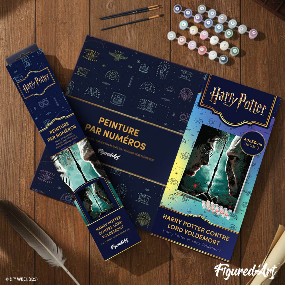 Harry Potter vs Lord Voldemort - Image 4