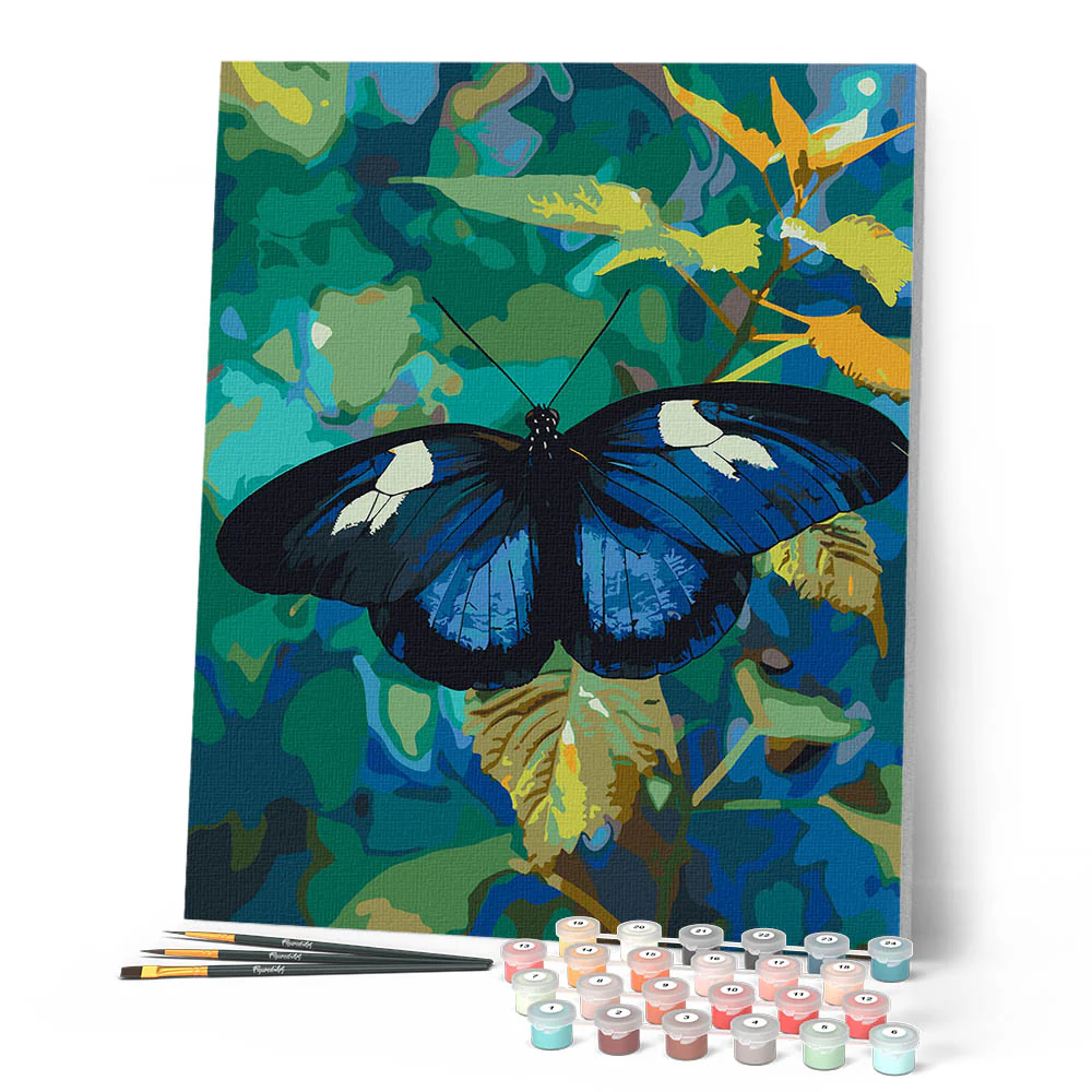 Heliconius Cydno Butterfly - Image 2