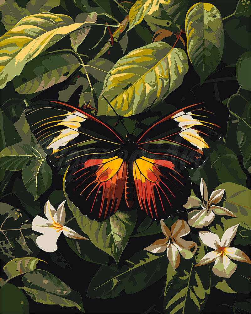 Heliconius Erato Butterfly