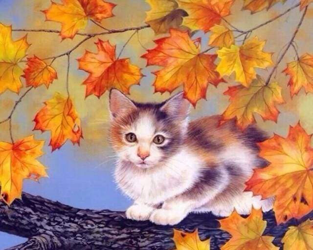Kitten on a Branch