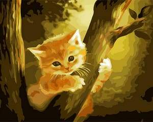 Kitten on top of the Tree