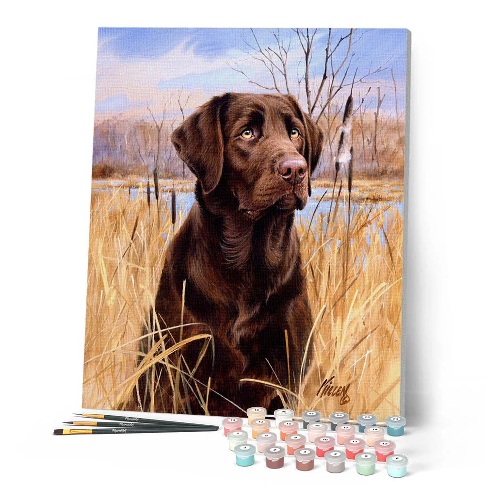 Labrador - Image 2
