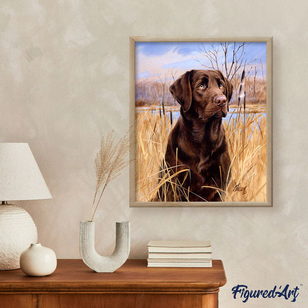 Labrador - Image 3