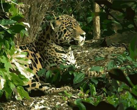 Leopard 2