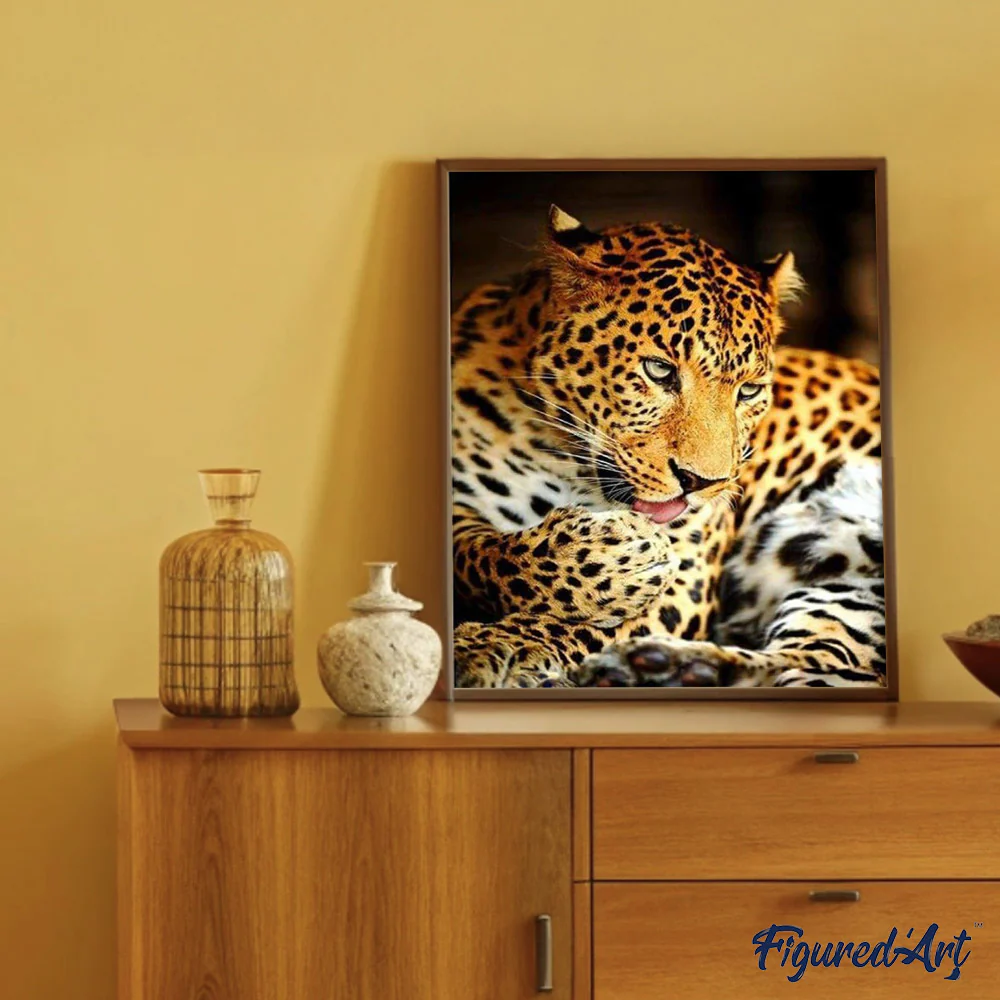 Leopard - Image 3