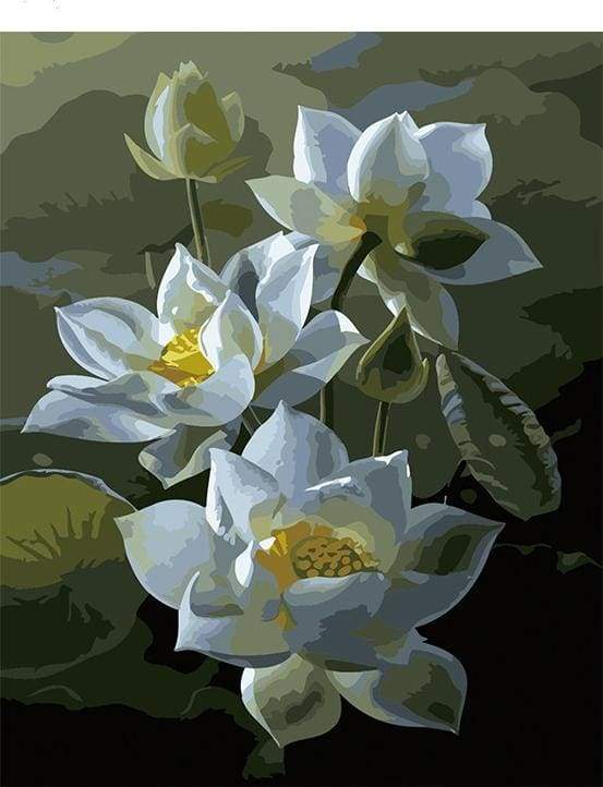 Lotus Blooming