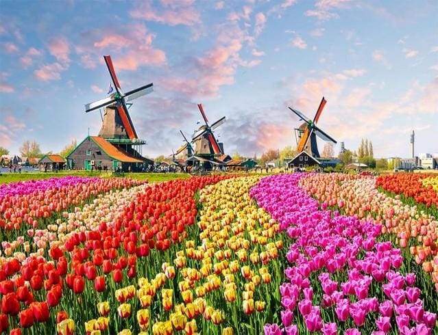 Mills and Flowers
