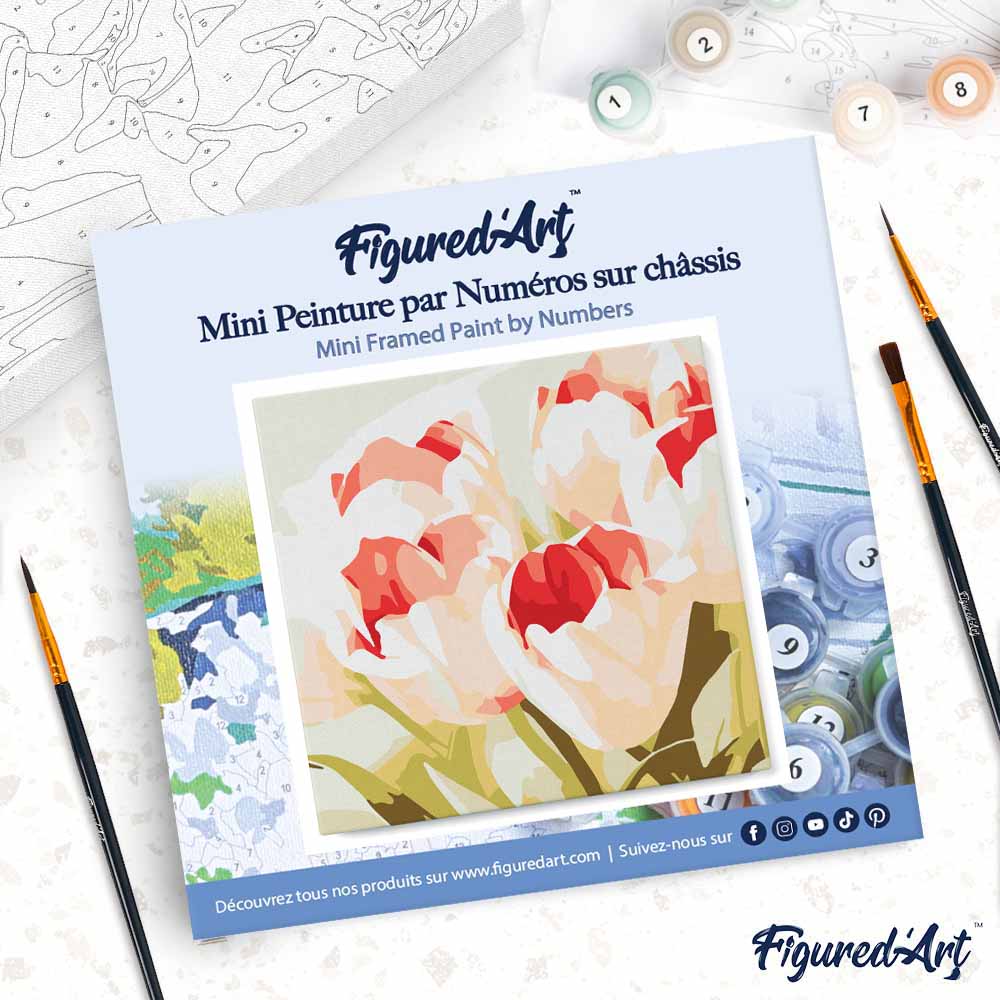 Mini Paint by numbers Blooming Tulips 20x20cm already framed - Image 4