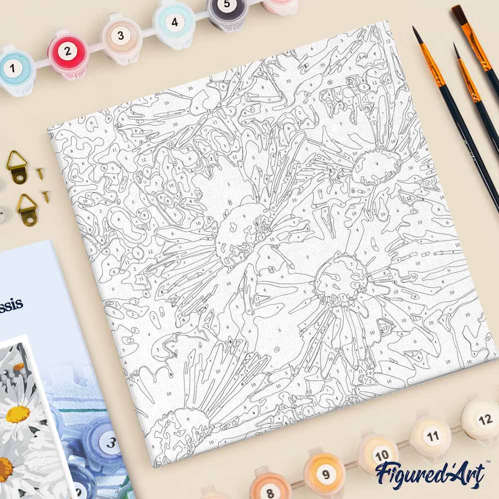 Mini Paint by numbers Daisies Field 20x20cm already framed - Image 5